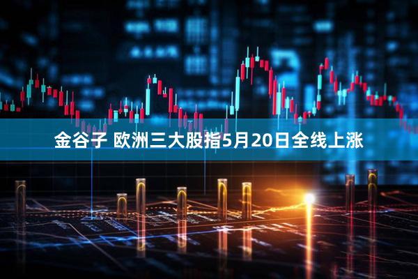 金谷子 欧洲三大股指5月20日全线上涨